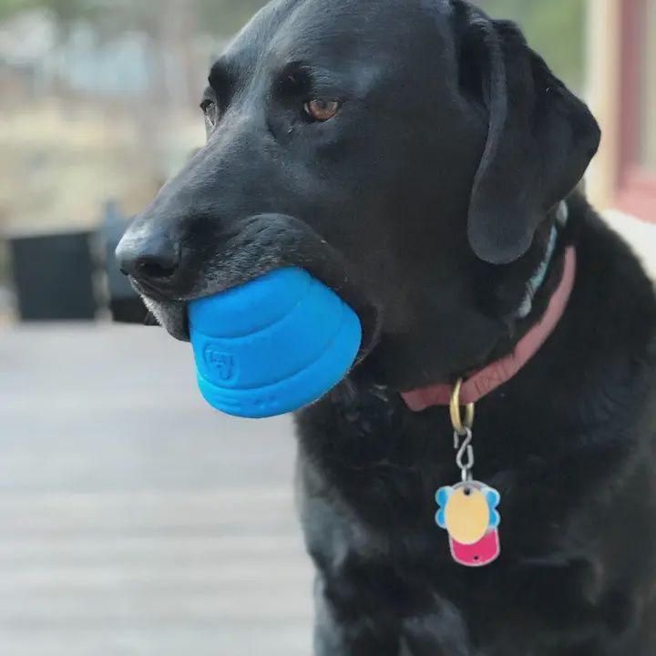 SodaPup -Capsule spatiale eDispenser : Jouet à mâcher ultra-durable et distributeur d'enrichissement