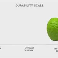 SodaPup -MKB œuf de dinosaure - jouet à mâcher et distributeur de friandises - grand format vert