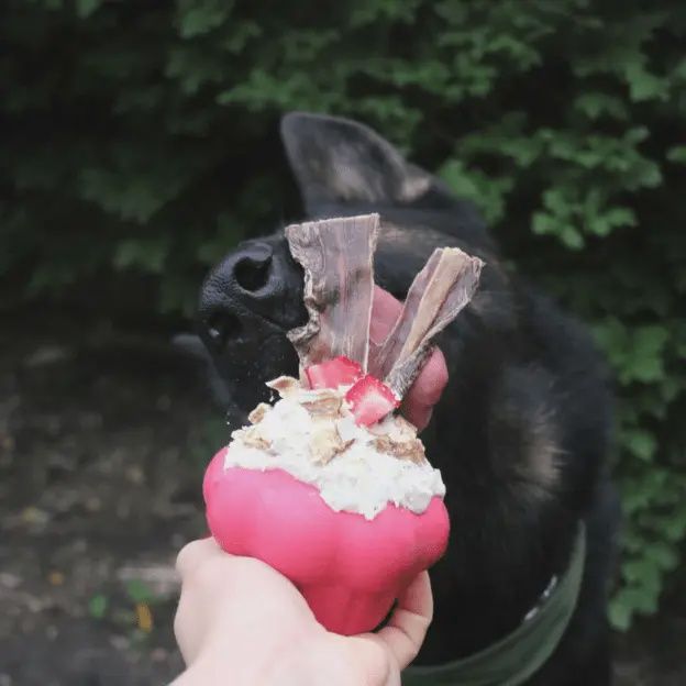 SodaPup -Jouet à mâcher durable en caoutchouc Cupcake avec distributeur de friandises - Rose