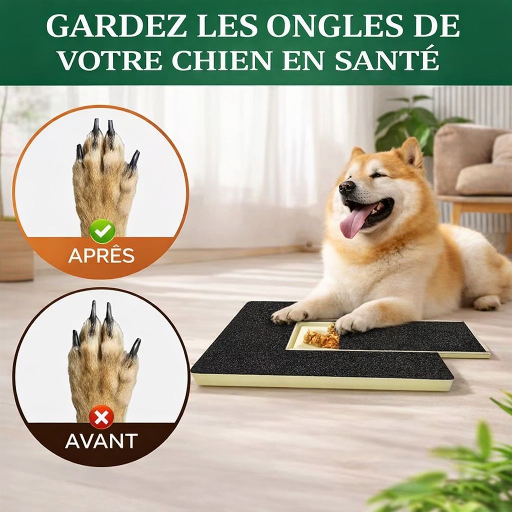 De' Vora Pet - Tableau d'entraînement pour limer les griffes