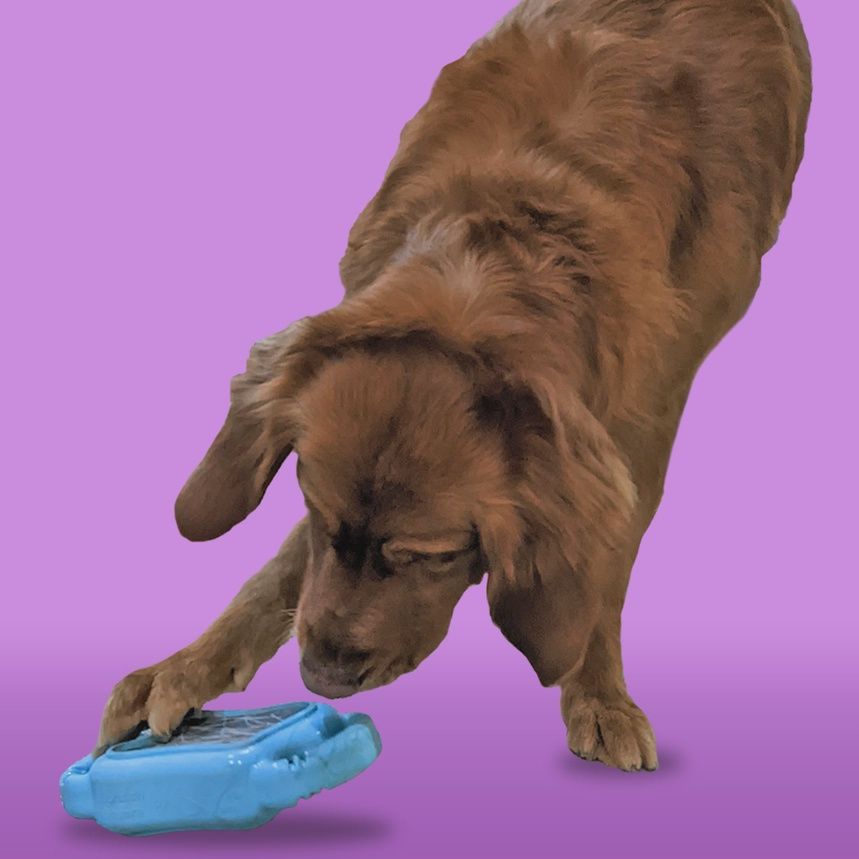 De' Vora Pet - Outil de limage des griffes, Scratch Square