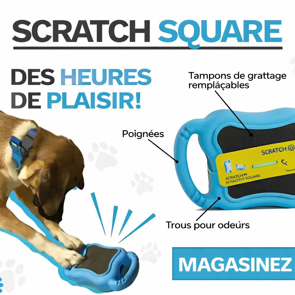 De' Vora Pet - Outil de limage des griffes, Scratch Square