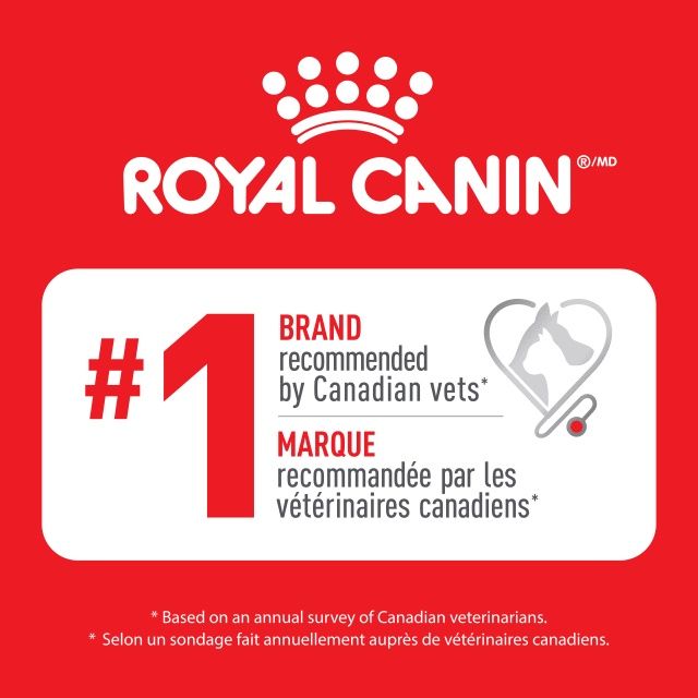 Royal Canin - Chat soin du pelage &amp; peau bouchées en tranches
