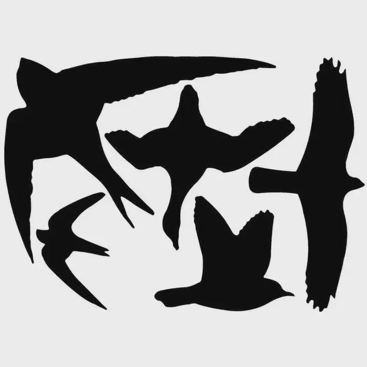 Esschert Design-Autocollant de fenêtre Oiseaux , vinyle, noir