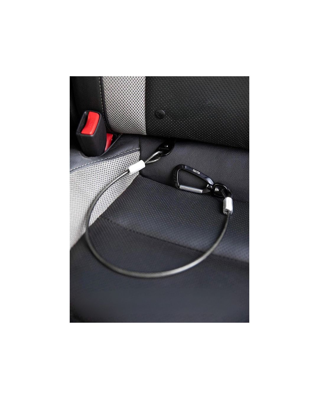 Mighty Paw - Ceinture de sécurité résistante aux morsures