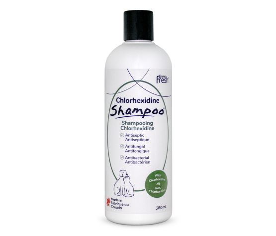 EnviroFresh - Shampooing Pour Chien, Anti-démangeaisons Avec Chlorhexidine 380ml