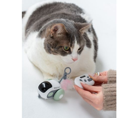 Dexypaws - Jouet intéractif Pour Chat, Souris, Vert Sauge