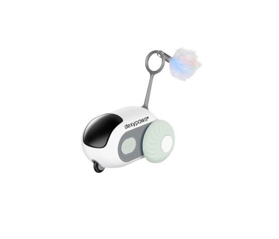 Dexypaws - Jouet intéractif Pour Chat, Souris, Vert Sauge