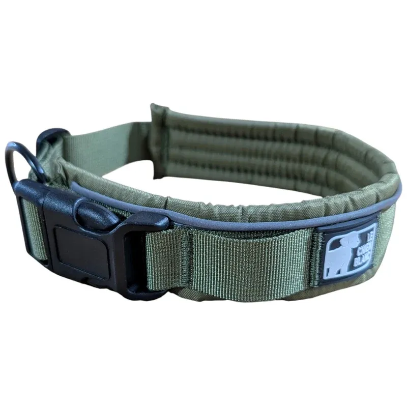 Le chien blanc - Collier rembourré à clip