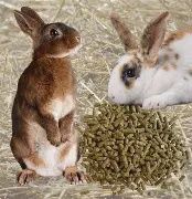 Purina- Lapin 5kg 15%