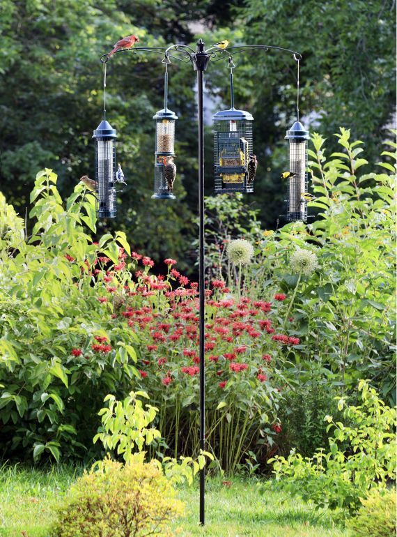 Brome - Système de poteaux, Oiseaux en haut, Versa, 1 pouce