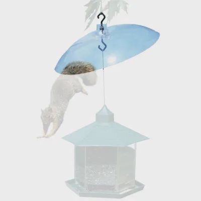 Perky-Pet- Pare écureuil acrylique transparent