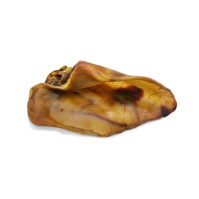 Bulk-Dog - Oreille de truie