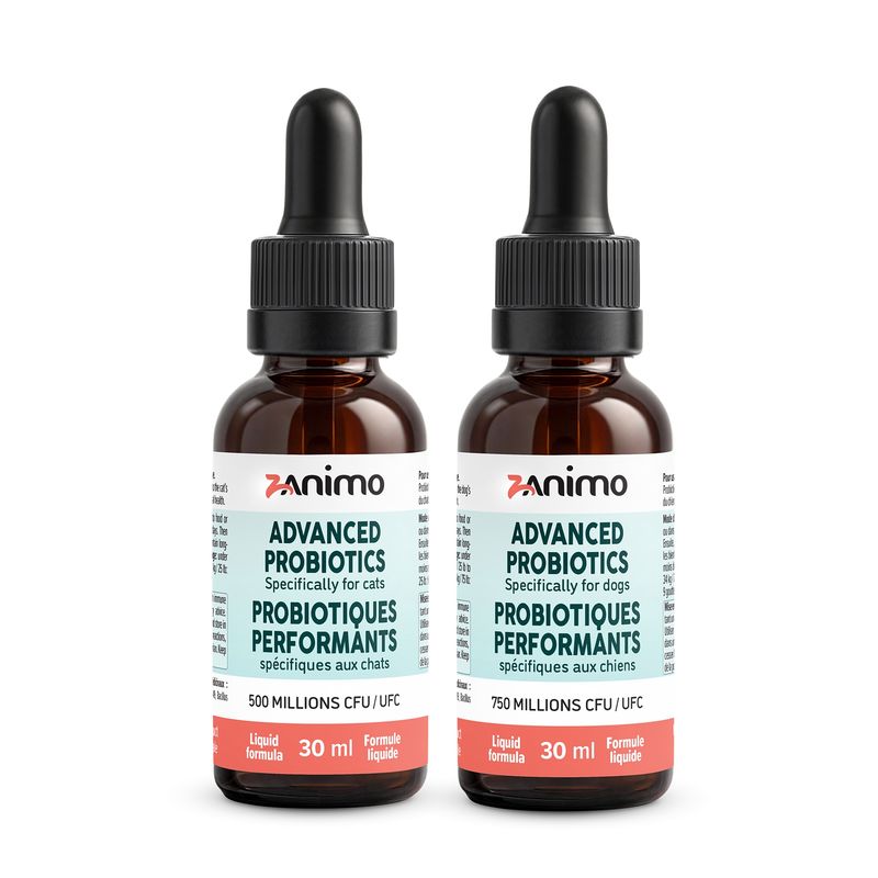 Zanimo- Probiotique performants, formule liquide 30 ml