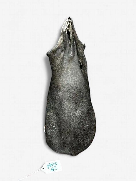 Vrac Pour Chien - Scrotum de boeuf