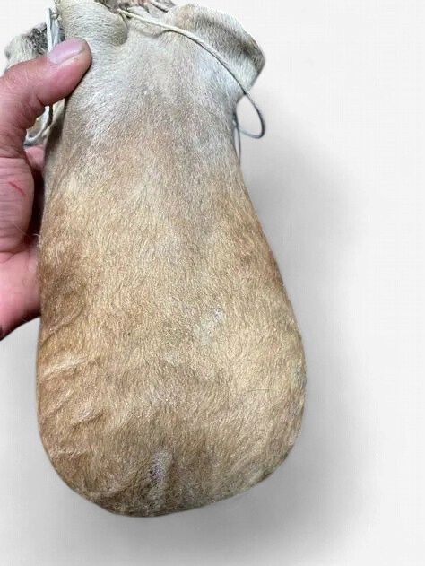 Vrac Pour Chien - Scrotum de boeuf