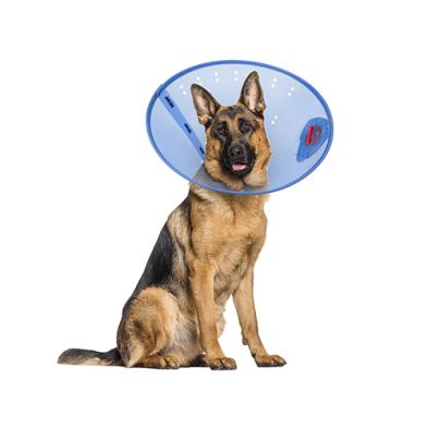 Calm Paws- Collier élizabeth,protection après chirurgie bleu