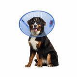 Calm Paws- Collier élizabeth,protection après chirurgie bleu
