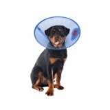 Calm Paws- Collier élizabeth,protection après chirurgie bleu