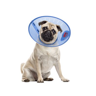Calm Paws- Collier élizabeth,protection après chirurgie bleu