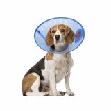 Calm Paws- Collier élizabeth,protection après chirurgie bleu