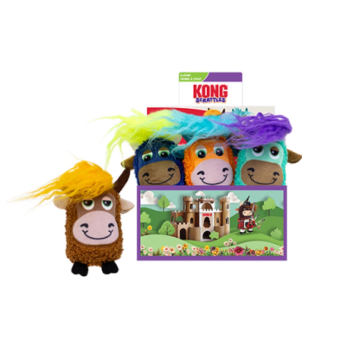 Kong - Scrattles - Vache Highlands avec herbe à chat