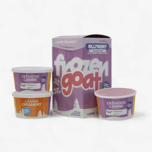 Big Country Raw - Yogourt Glacée au Lait de Chèvre aux Baies - 300ml