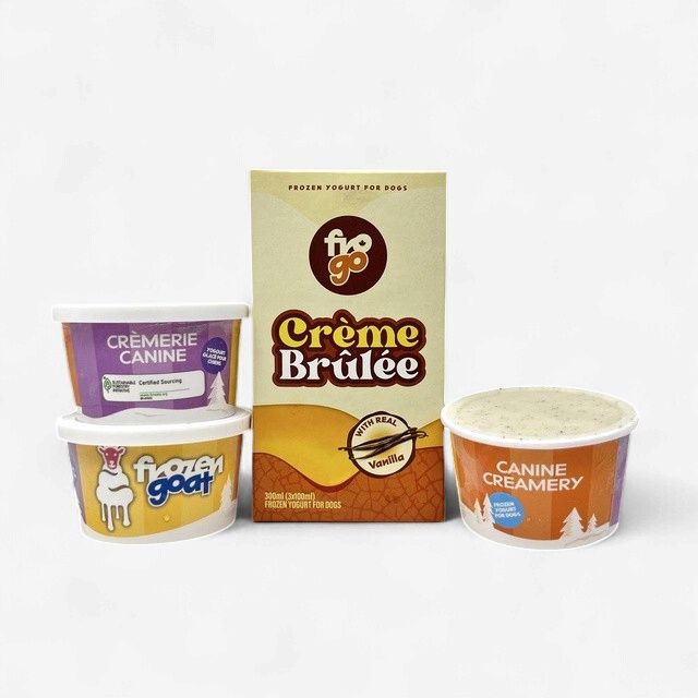 Big Country Raw - Yogourt Glacée au Lait de Chèvre Crème Brulée - 300ml