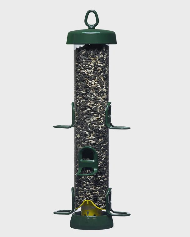 Brome - Tube Solution™
