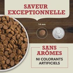 Acana- Nourriture Recette Adulte Viande Rouge