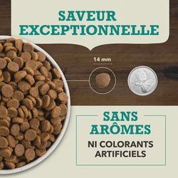 Acana- Nourriture Recette Adulte Poisson d’eau froide