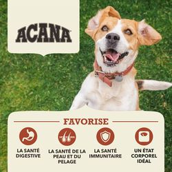 Acana- Nourriture Recette Boeuf&amp; Citrouille , ingrédients limités