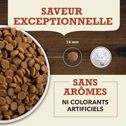 Acana- Nourriture Recette Boeuf&amp; Citrouille , ingrédients limités