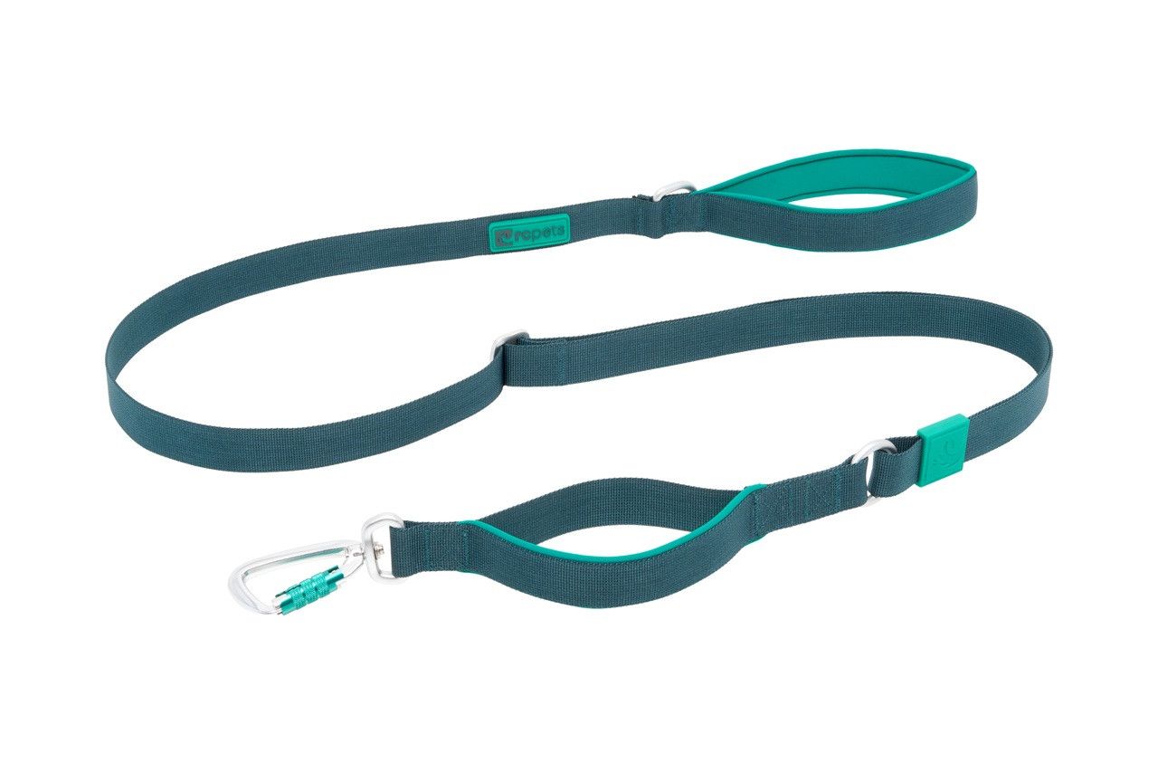 RCPets - Laisse Stratus