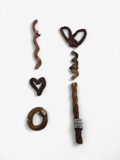Boite masticatoire économique - Bully Stick