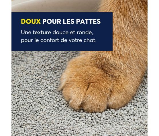 Intersand - Odourlock légère, parfum delicat - 5kg