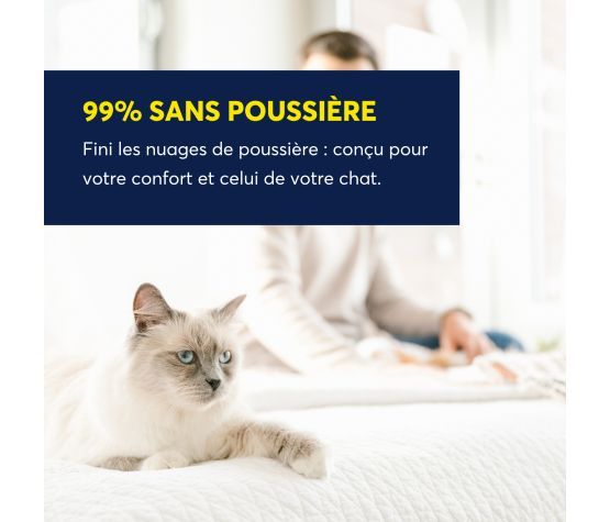 Intersand - Odourlock légère, parfum delicat - 5kg