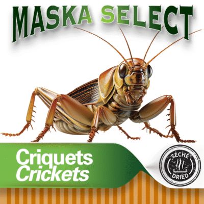 Maska Sélect - Criquets séchés, format: 150gr