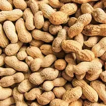 Armstrong - Arachides en écailles, pour oiseaux sauvages 10kg