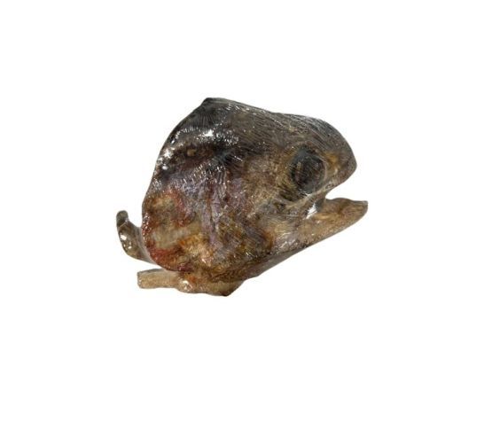 Wawwaw - Tête De Poisson Lyophilisée Pour Chien