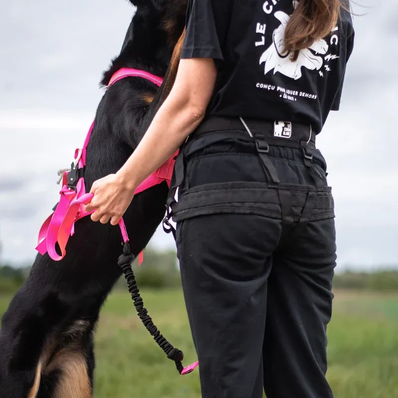 Le Chien Blanc - Ceinture de traction Série Pro