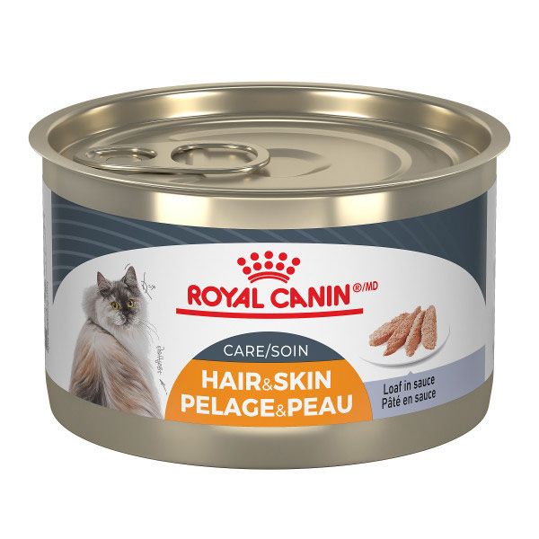 Royal Canin -Pâté pour chat beauté intense, 145gr