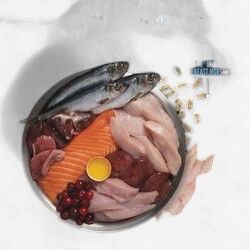 Orijen -Wild Reserve, Recette au poulet élevé en liberté