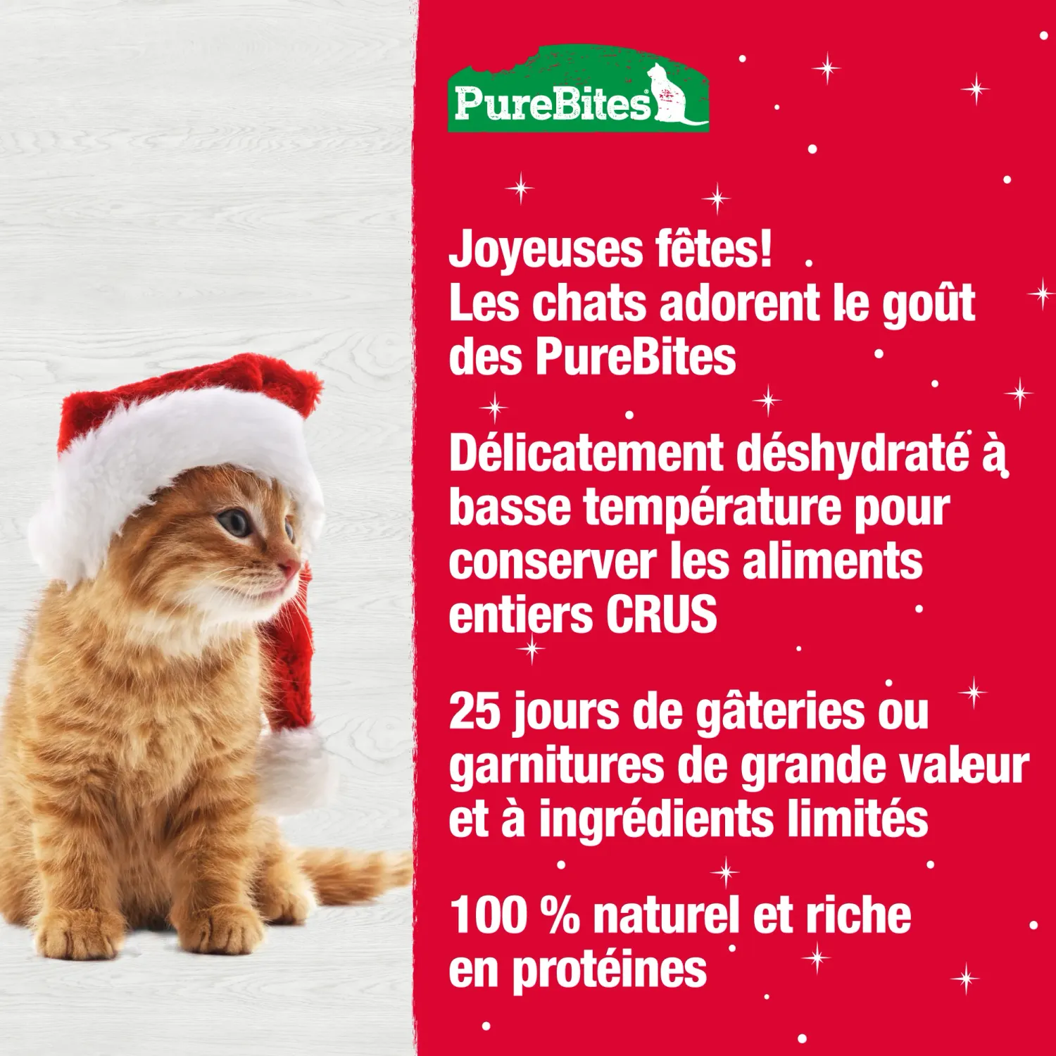 Pure Bites-Calendriers de l'avent pour chat Pure Bites-Calendriers de l'avent pour chat