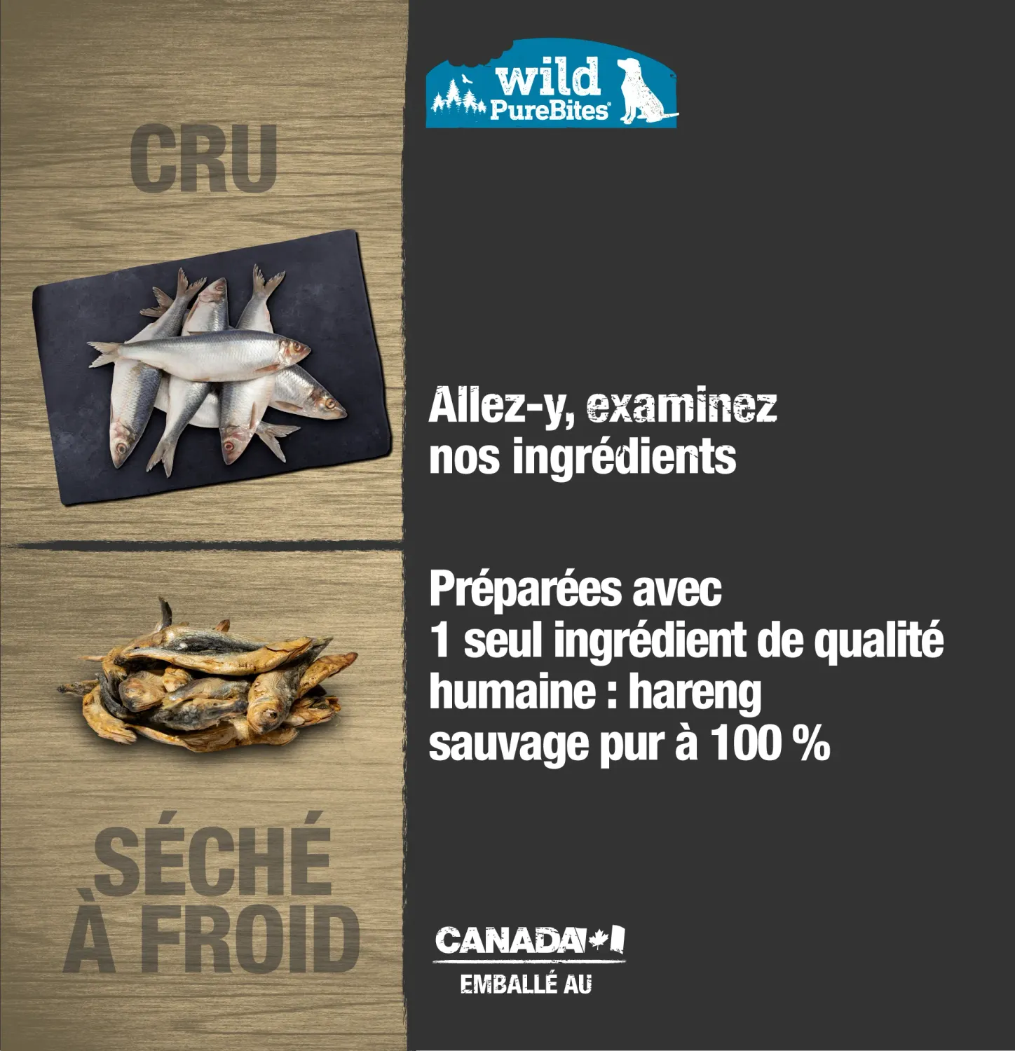 Pure Bites- Gâterie pour chien au hareng lyophilisé