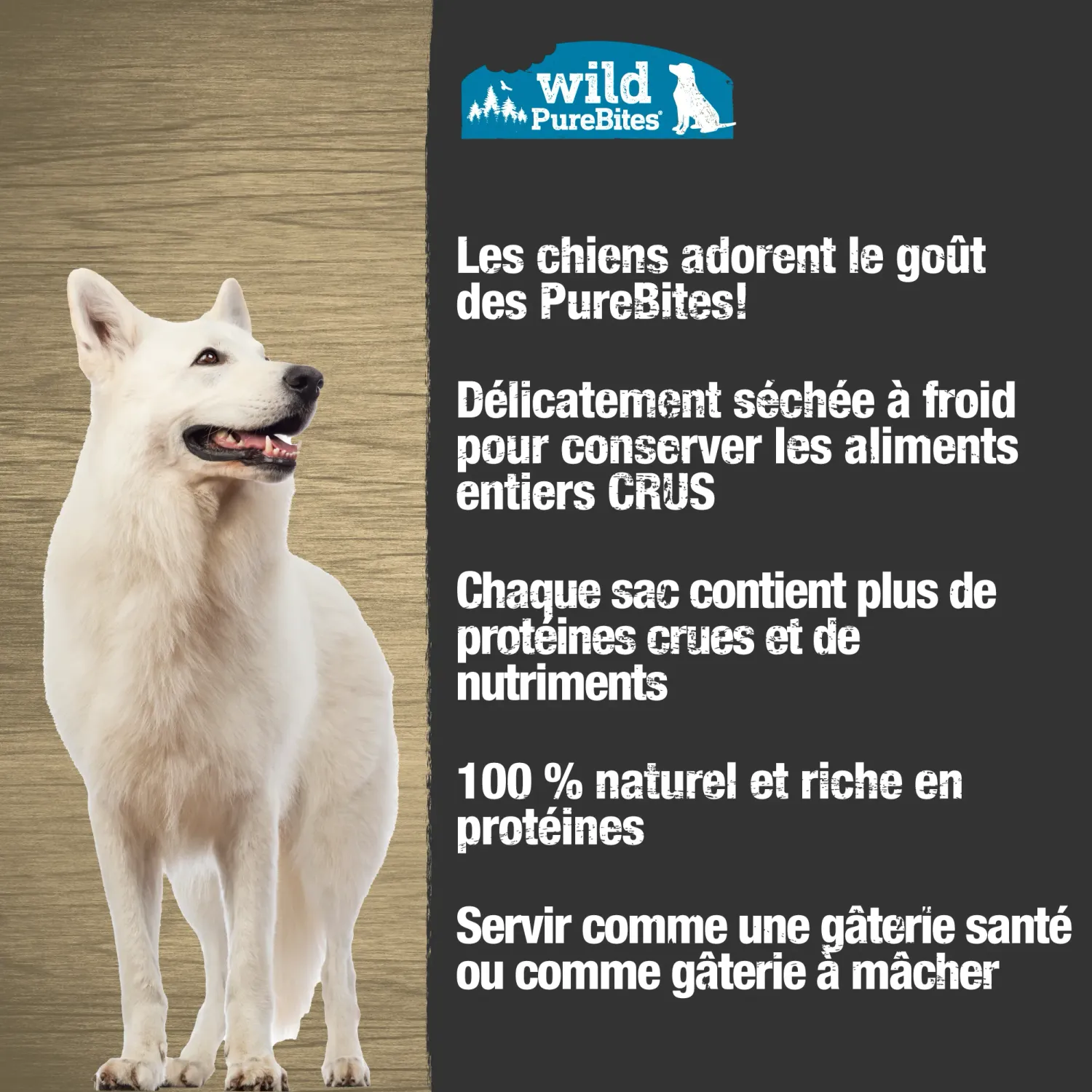 Pure Bites- Gâterie pour chien au hareng lyophilisé
