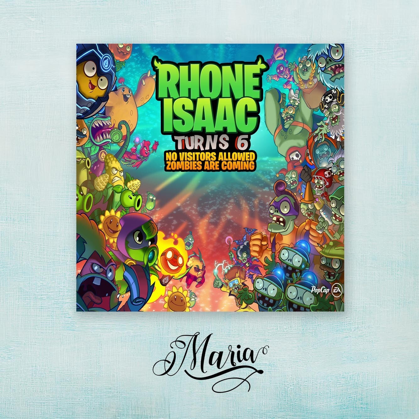 Plants Vs Zombies Birthday Banner