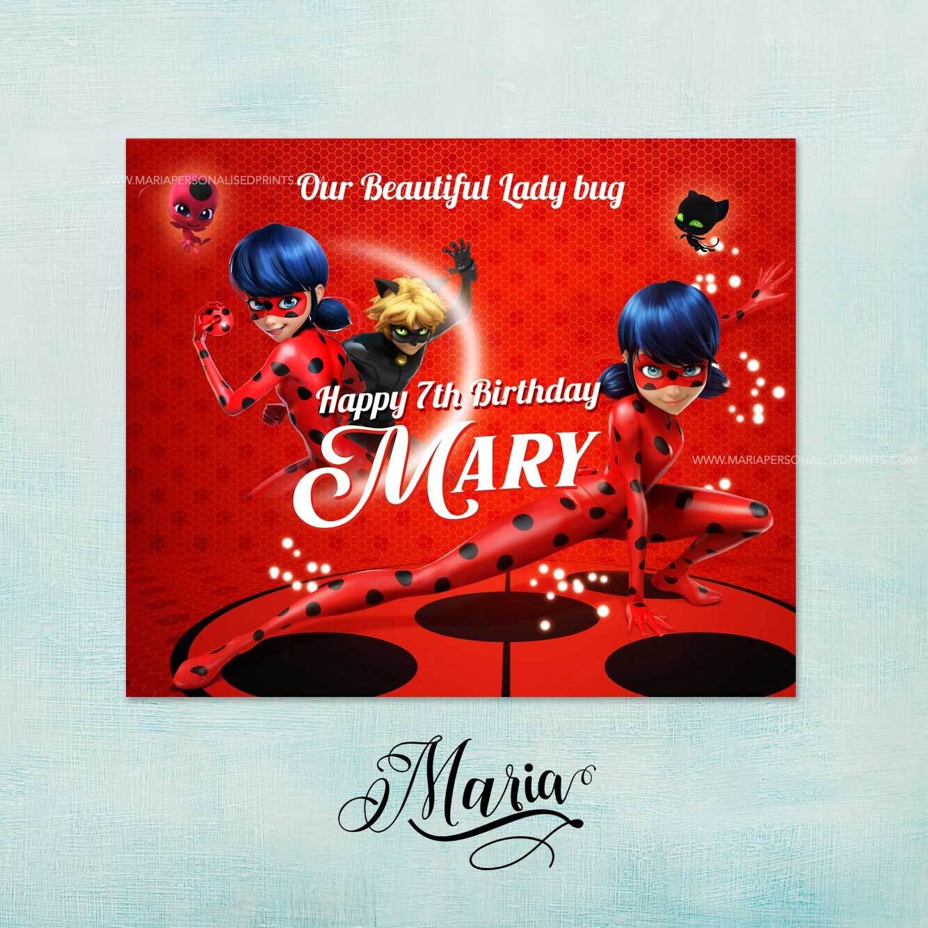 MIRACULOUS LADY BUG Birthday Banner