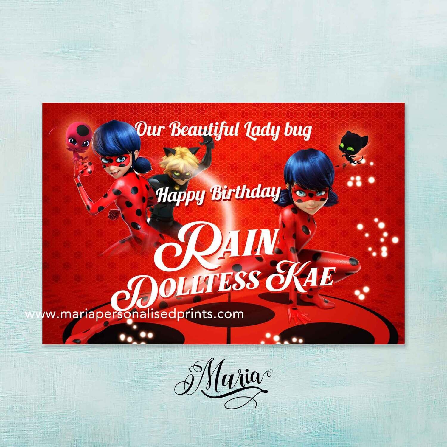Miraculous Lady Big Birthday Banner