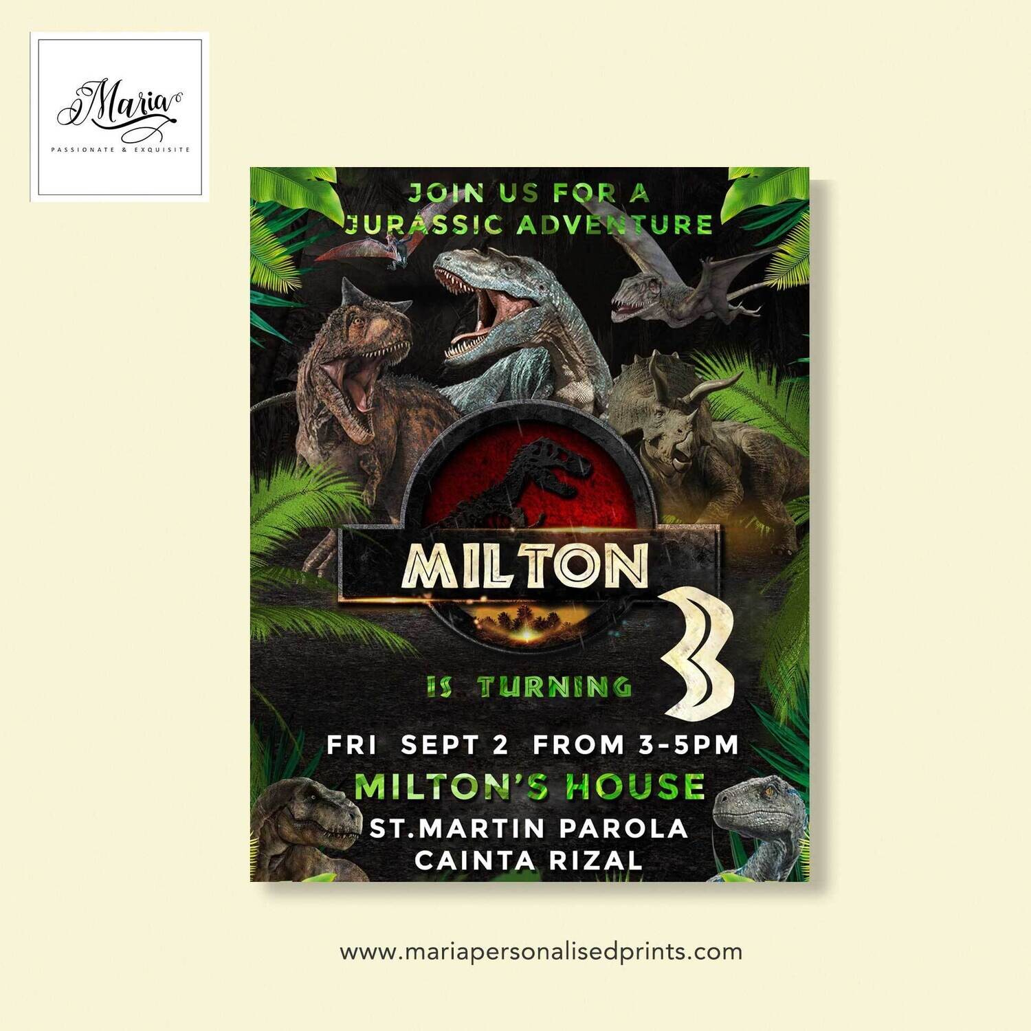 Jurrassic Park Birthday Invitation Set of 14
